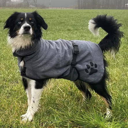 Nobby Kylpytakki koiralle - Koiran takit ja haalarit - 4033766534300 - 1