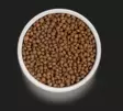 Grandorf Cat 4-meat Adul Indoor aikuisille sisäkissoille 400g - Kissan erikoiskuivaruoat - 5407007851270 - 2