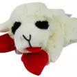 HappyPet Lamb Chop Lammas koiranlelu - Koiran pehmolelut - 784369483710 - 3