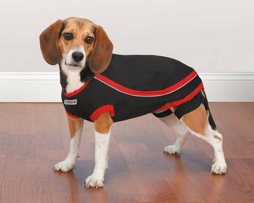 Kong Anxiety-Reducing Shirt Painepaita - Koiran takit ja haalarit - 721343718000 - 1