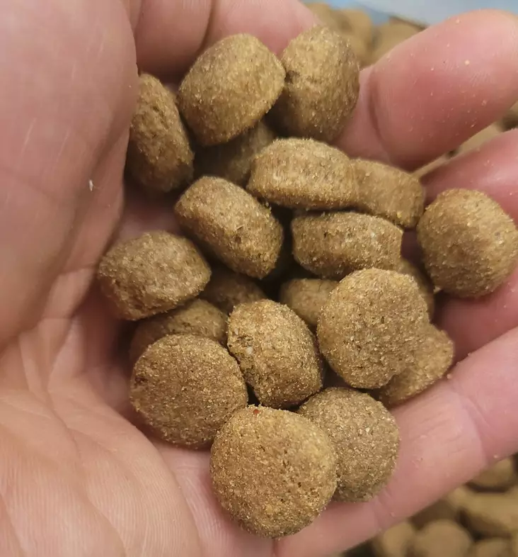 Frank's Breeder ORGINAL 18 kg Koiranruoka - Franks Pro Gold kuivaruoat - FBORIGINAL20 - 1