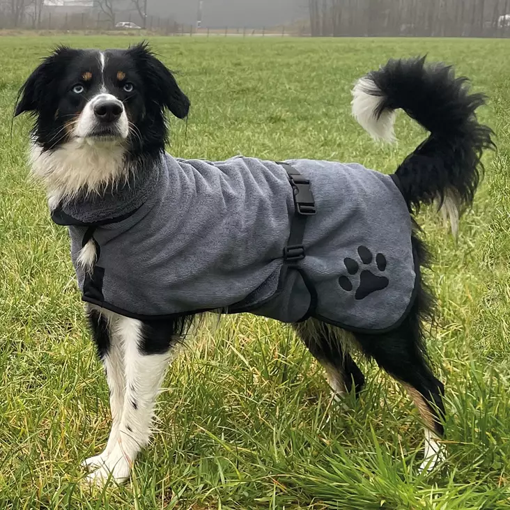 Nobby Kylpytakki koiralle - Koiran takit ja haalarit - 4033766534300 - 1