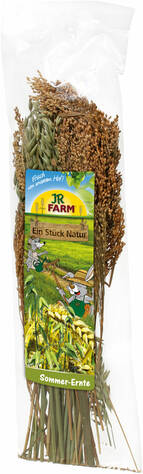 Jr. Farm Summer Harvest jyrsijän herkku 80g - Kanin ja jyrsijän herkut - 4024344117251 - 1