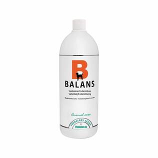 Vitabalans Probalans B-Balans vitamiiniliuos 100ml - Koiran lisäravinteet - 6410530011881 - 1