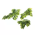 Komodp Banyan Leaf Hanging Plant – riippuva kasvikoriste 30 cm - Terraarion sisustus - 701029825581 - 1