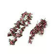 Komodo Perilla Leaf Hanging Plant 30cm - Terraarion sisustus - 701029825611 - 1