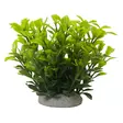 Nobby Aqua Ornaments Ludwigia Green - Akvaariokoristeet - 4033766287671 - 1