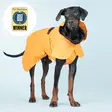Paikka Recovery Raincoat Orange Sadetakki koiralle - Koiran takit ja haalarit - 6430076463081 - 1