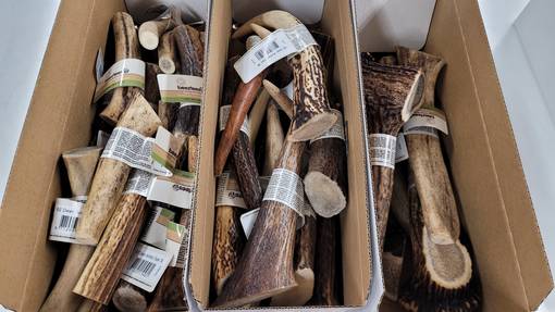 Beeztees Peuran Sarvet koiran herkku - Koiran puruluut - 8712695179481 - 1