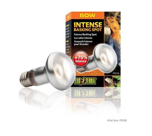 ExoTerra Intense Basking Spot 50W - Terraarion valaistus ja lämmitys - 015561221351 - 1