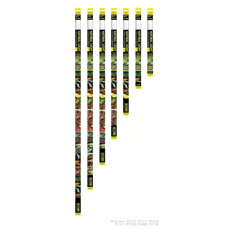 ExoTerra Natural light 15W 45cm T8 UVA - Terraarion valaistus ja lämmitys - 015561223751 - 1