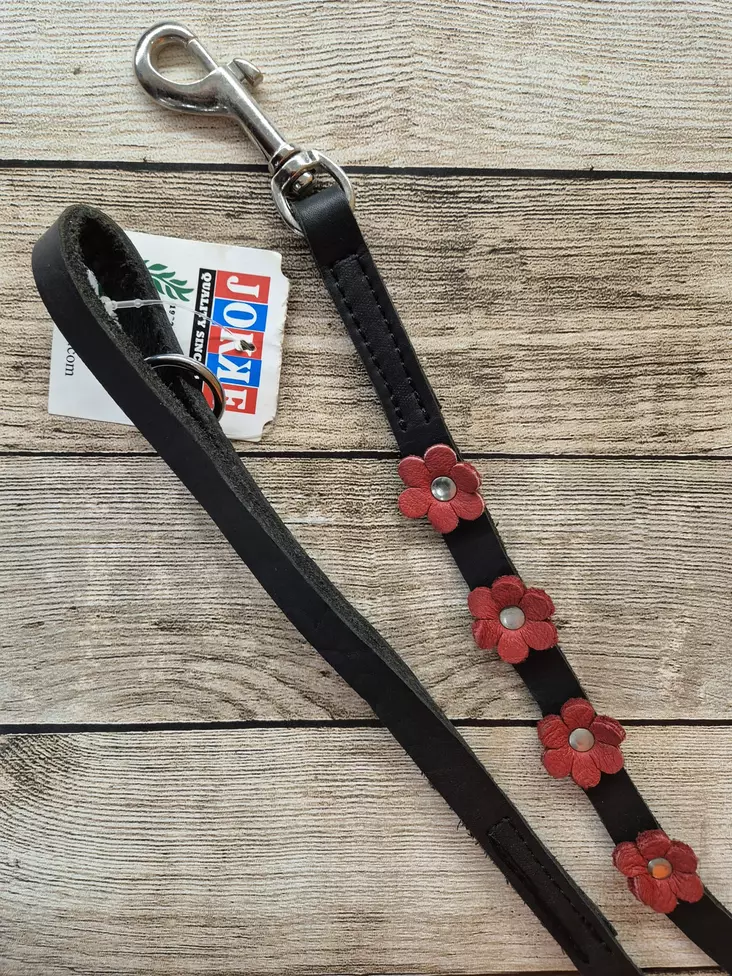 Jokke San Fransisco Talutin Kukkaistalutin 14mm x 180cm - Koiran nahkahihnat - 6417114380401 - 1