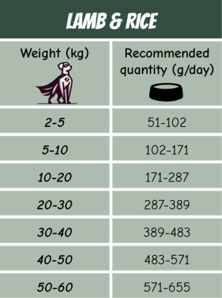 POW! Dog Lamb Rice Single protein Lammas Riisi Koiran ruoka - Erikoiskuivaruoat - 7350040129982 - 2