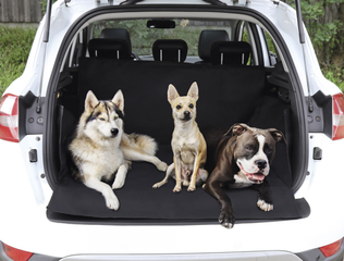 Nobby Car Boot Cover suoja-alusta takaluukkuun - Koirasuojat ja tarvikkeet autoon - 4033766609022 - 1