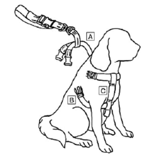 HI-Craft Koirien Turvavyövaljas - Koirasuojat ja tarvikkeet autoon - 5016585300102 - 2