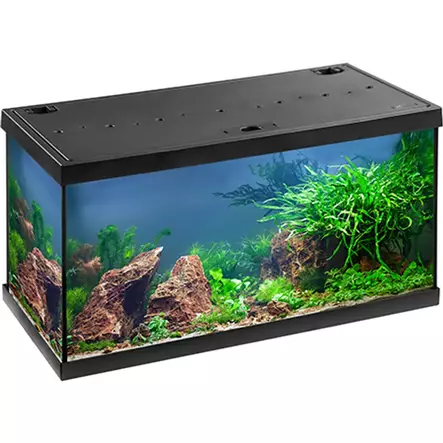 Eheim Aquastar 54L LED Musta - Akvaariot - 4010251122402 - 1
