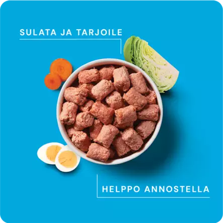 RAUH! Nutriment Beef & Chicken & Vegetables Puppies Nauta & Kana & Kasvikset Pennuille raakaruoka - Muut koiran raakaruoat - 6410180002192 - 2