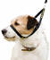 CANNY COLLAR –vedonestopanta - Koiran kuonopannat - 5060086560022 - 1