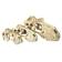 T-Rex Skull koriste - Terraarion sisustus - 701029829442 - 2