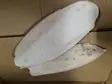 Cuttlefish Bone in a Bag Seepiansuomu pussitettuna - Lintujen ruoka ja herkut - SEEPIA2 - 1