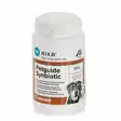 PetGuide Maitohappobakteerijauhe kissoille ja koirille 150g - Koiran lisäravinteet - 6416225009652 - 2