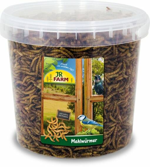 Jr. Farm Wild Bird Mealworms jauhomatoja linnuille 400g - Lintujen ruoka ja herkut - 4024344164002 - 1
