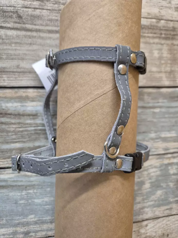 Kesomaa kissanvaljas - Kissan valjaat - 6430020130052 - 1