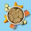 Nutriment Fresh Frozen Salmon 800g - Muut koiran raakaruoat - 4262494390333 - 2