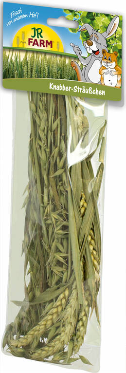 Jr. Farm Nibble Posy jyrsijän herkku 25g - Kanin ja jyrsijän herkut - 4024344006883 - 1