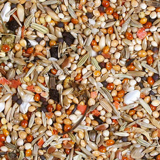 Jr. Farm Neitokakadun ruoka 1kg - Lintujen ruoka ja herkut - 4024344084034 - 2