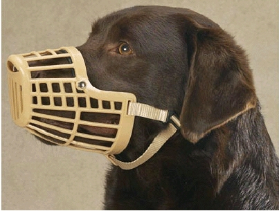 Kuonokoppa muovia - Koiran kuonokopat ja kaulurit - KOPPA4 - 1