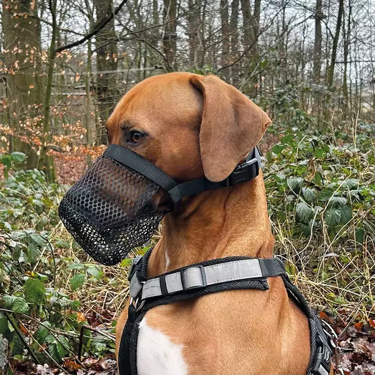 Nobby kuonokoppa - Koiran kuonokopat ja kaulurit - 4033766530234 - 1