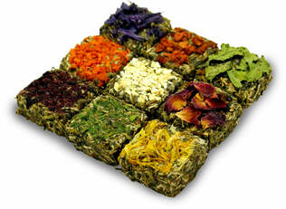 Jr. Farm Grainless Jyrsijän Praliinit herkku 125g - Kanin ja jyrsijän herkut - 4024344203985 - 2