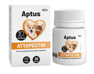 Orion Pharma Aptus Attapectin kivennäisrehuvalmiste 30 tablettia - Koiran lisäravinteet - 6432100011305 - 1