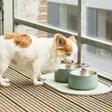 DOG Copenhagen Vega Bowl koirankuppi - Koiran metallikupit - 5740000304795 - 5
