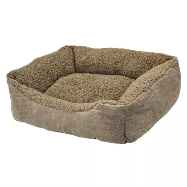 Nobby Teddy -koiranpeti - Koiran reunalliset pedit - 4033766517075 - 1