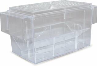 BeezTees Floating Guppy Breeder S 16x8x8cm - Akvaarion hoitotarvikkeet - 8712695006466 - 2