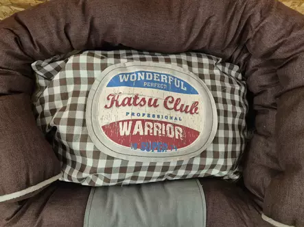 Katsu Koiranpeti Ruskea - Koiran reunalliset pedit - 6430035778416 - 2