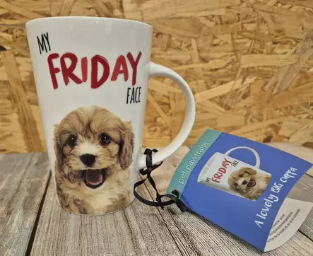 Otter House Monday-Friday face muki - Eläinaiheiset tavarat - 5017680040016 - 1