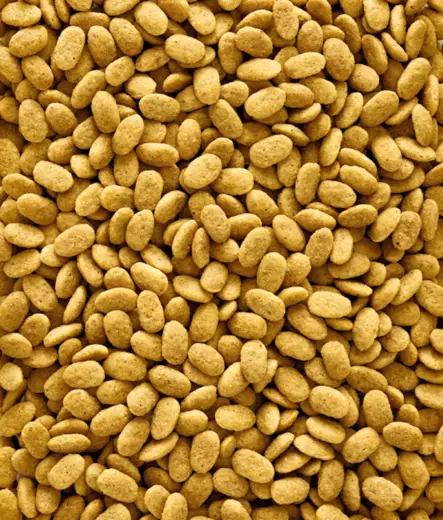 Versele-Laga Nutribird P15 Original 3 kg - Lintujen ruoka ja herkut - 5410340221266 - 2