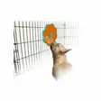 Calming Pals Lick-A-Disk nuolumatto - Koiran aktivointimatot ja -kupit - 847922058166 - 4