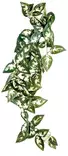 Komodo Borneo Hanging Vine 23cm - Terraarion sisustus - 5023556462066 - 1