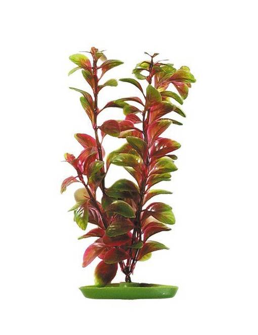 Marina AquaScaper Red Ludwigia 20cm Tekokasvi Akvaarioon Terraarioon - Akvaariokoristeet - 080605108196 - 1