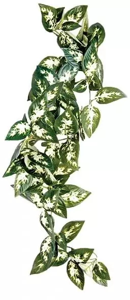 Komodo Borneo Hanging Vine 23cm - Terraarion sisustus - 5023556462066 - 1