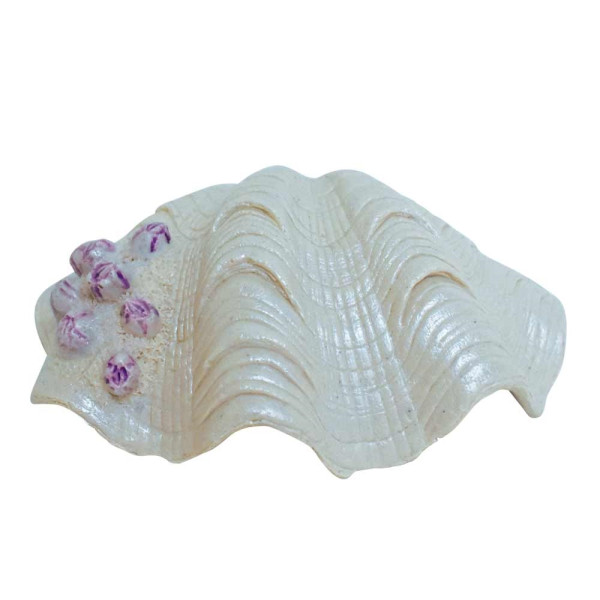 Nobby Aqua Ornaments Shell simpukka akvaariokoriste - Akvaariokoristeet - 4033766287336 - 1