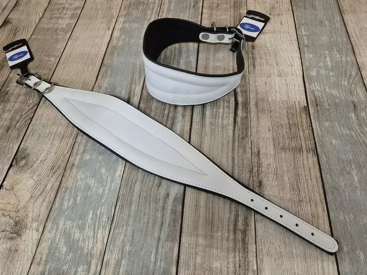 Tujoma Greyhound panta - Koiran nahkapannat - 6430035773916 - 1