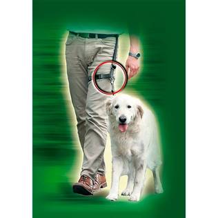 Karlie Legleader Jalkahihna - Koiran muut hihnat - 4016598643297 - 1