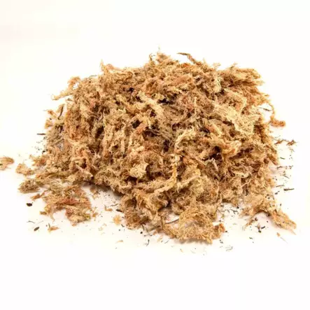 New Zealand Spahgnum Moss Sammal Rahkasammal n.150g 2,8l - Terraarion kuivikkeet ja pohjamateriaali - 097612200287 - 2