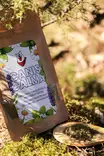 Canis Calma 75g - Koiran lisäravinteet - 6429830298717 - 4