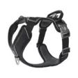 DOG Copenhagen Comfort Walk Pro 3.0 Y-Valjas - Dog Copenhagen koirien valjaat - 5740000302647 - 2